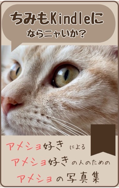 ねこ写真集